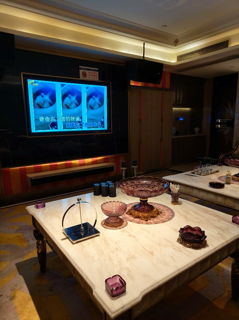 辽阳商务ktv预订-辽阳县ktv预定